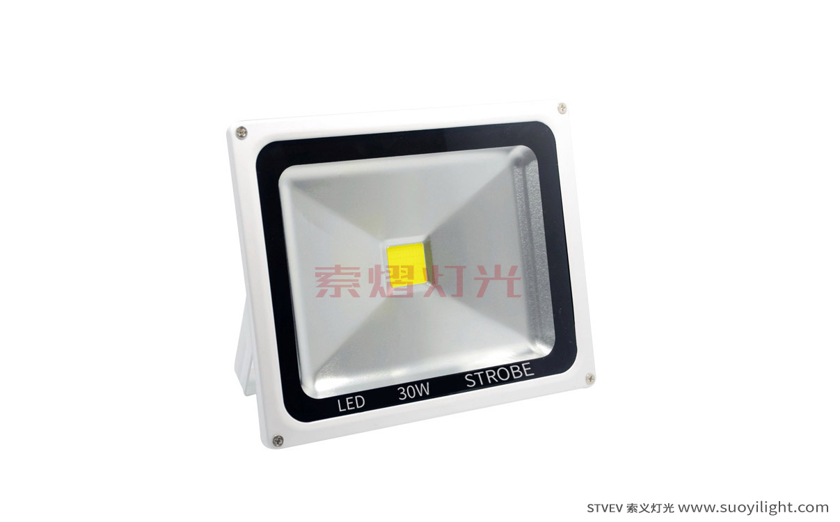 San-Francisco30W LED Strobe Light production