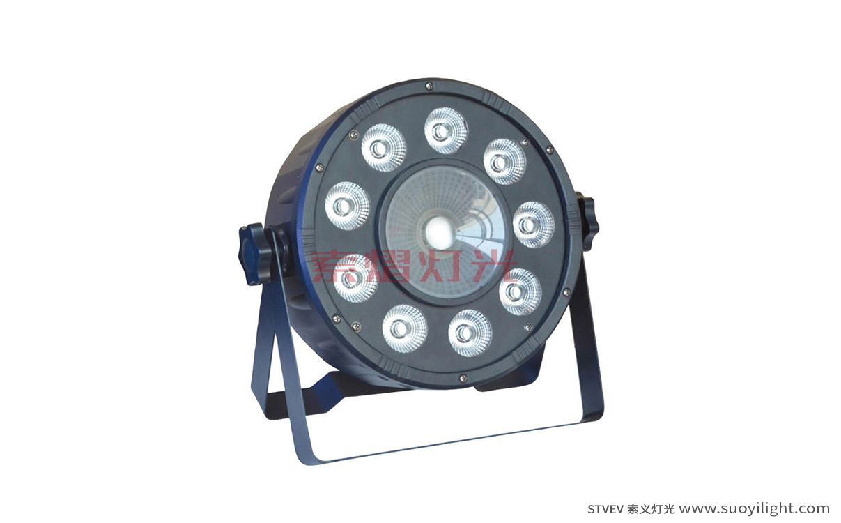 San-Francisco9+1 LED Plastic Par Light