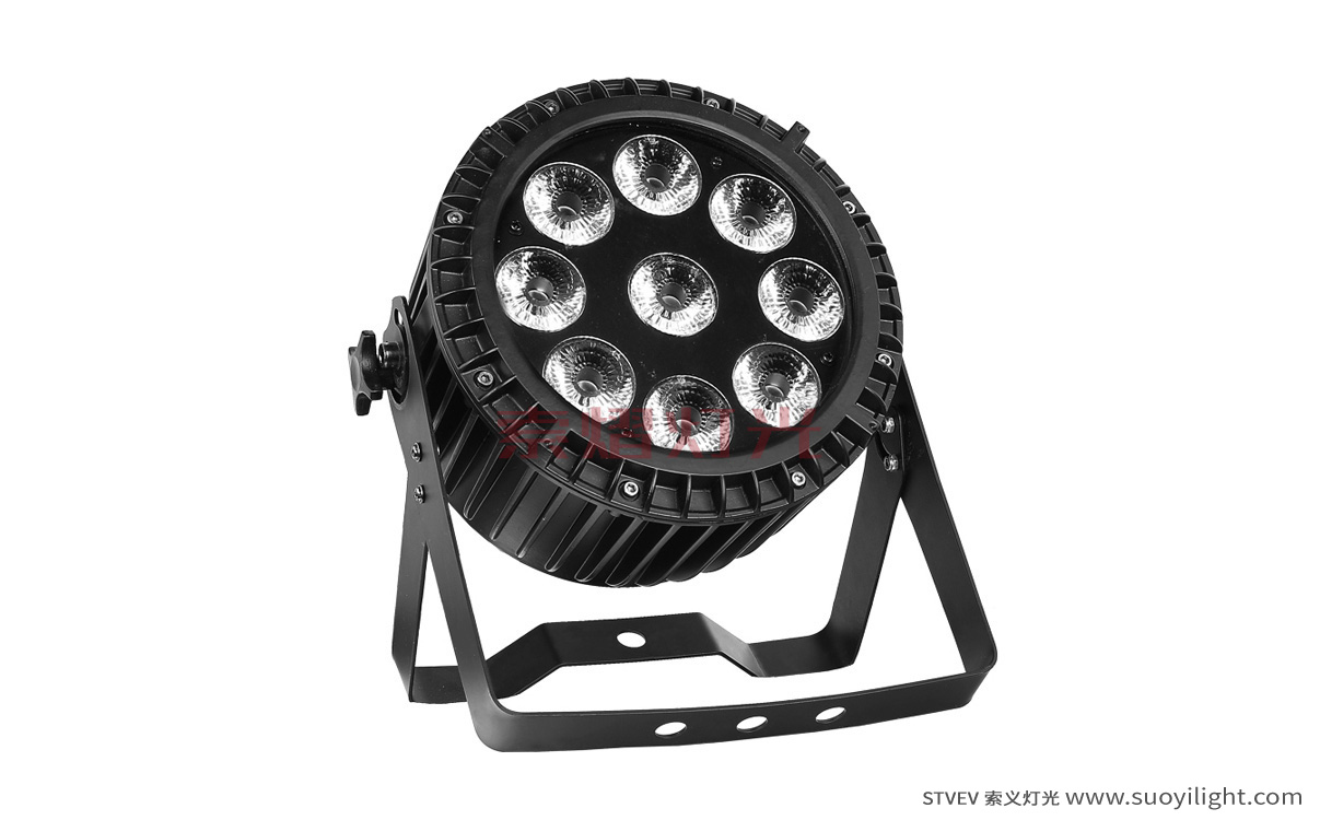 San-Francisco9*12W 4 in 1 Waterproof LED Par LightFactory