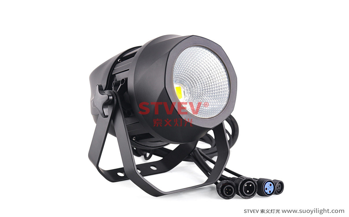 San-Francisco200W Waterproof COB Par Light production