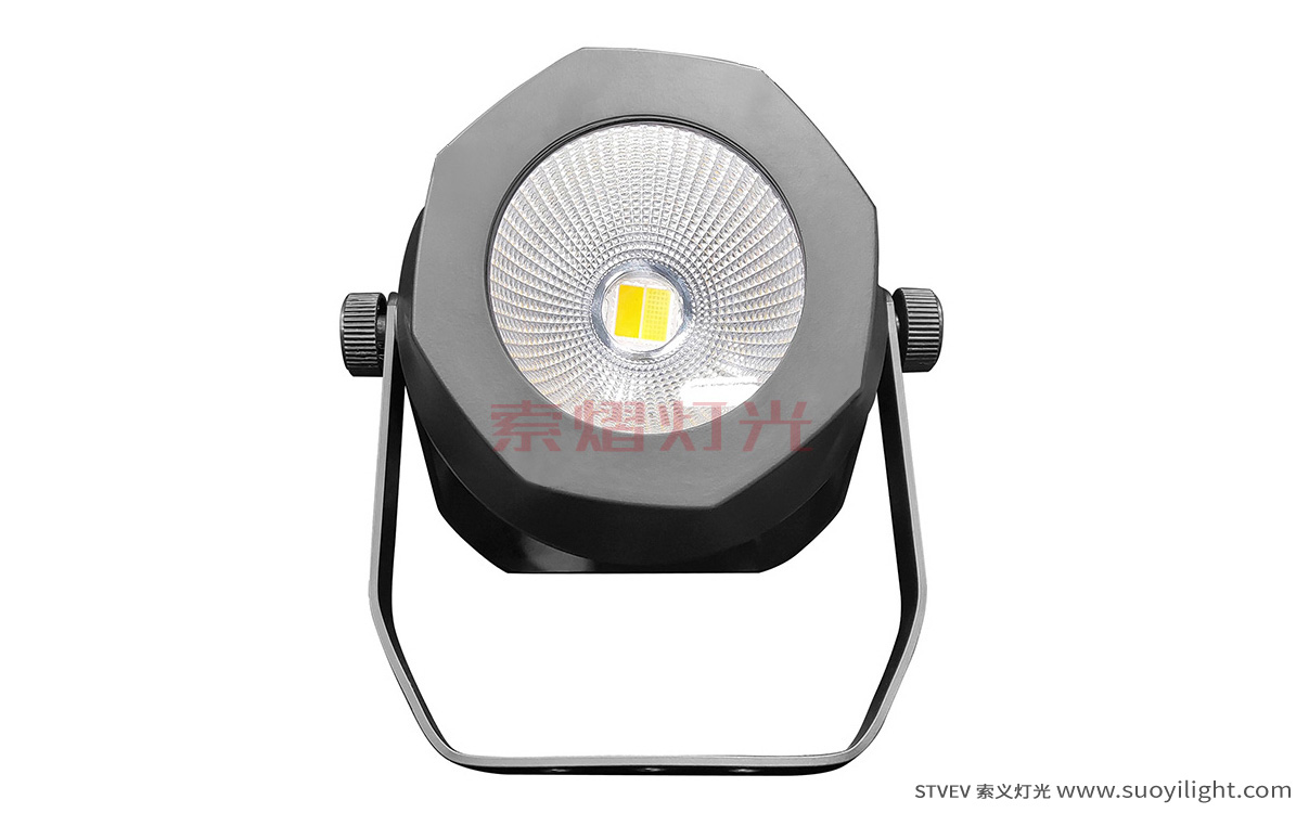 San-Francisco200W Waterproof COB Par Light supplier